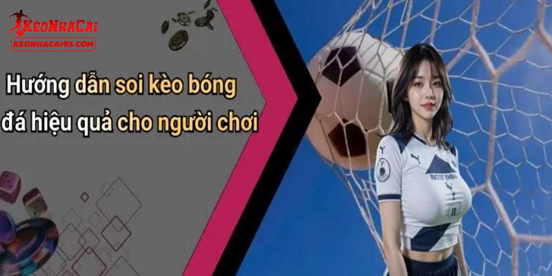 Hướng dẫn soi kèo chuẩn cho người mới Hướng dẫn soi kèo chuẩn cho người mới