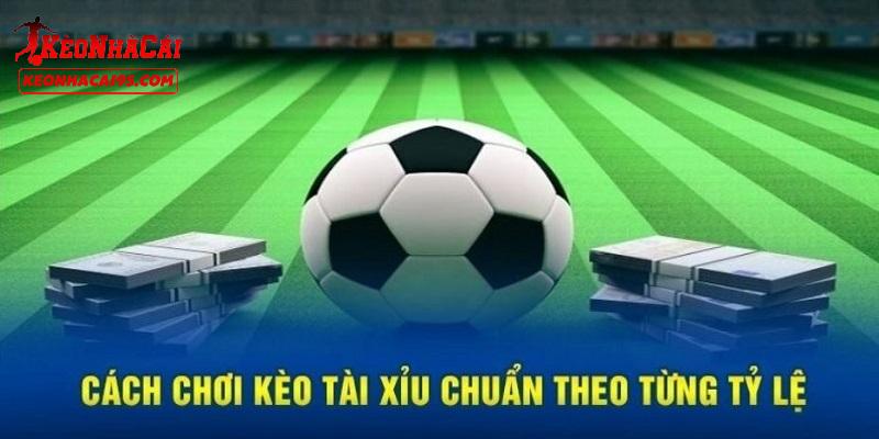 Hướng dẫn mẹo cược tài xỉu dễ thắng nhất Hướng dẫn mẹo cược tài xỉu dễ thắng nhất