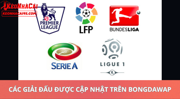 Bongdawap – Kết Quả Bóng Đá, Lịch Thi Đấu Và Tỷ Số Trực Tuyến 2 Các Giải Đấu Được Cập Nhật Trên Bongdawap